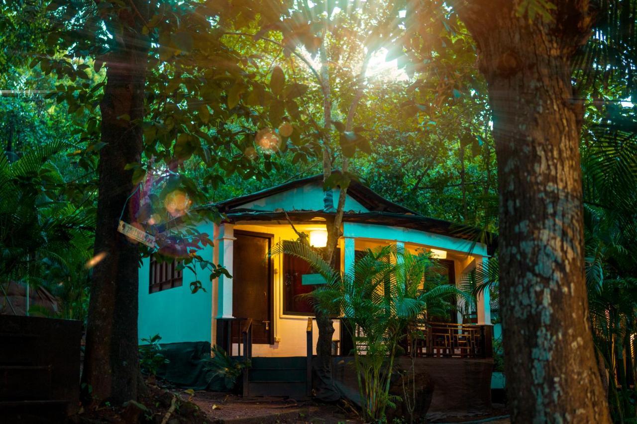 La La Land Resort Goa By Spicy Mango Palolem Dış mekan fotoğraf