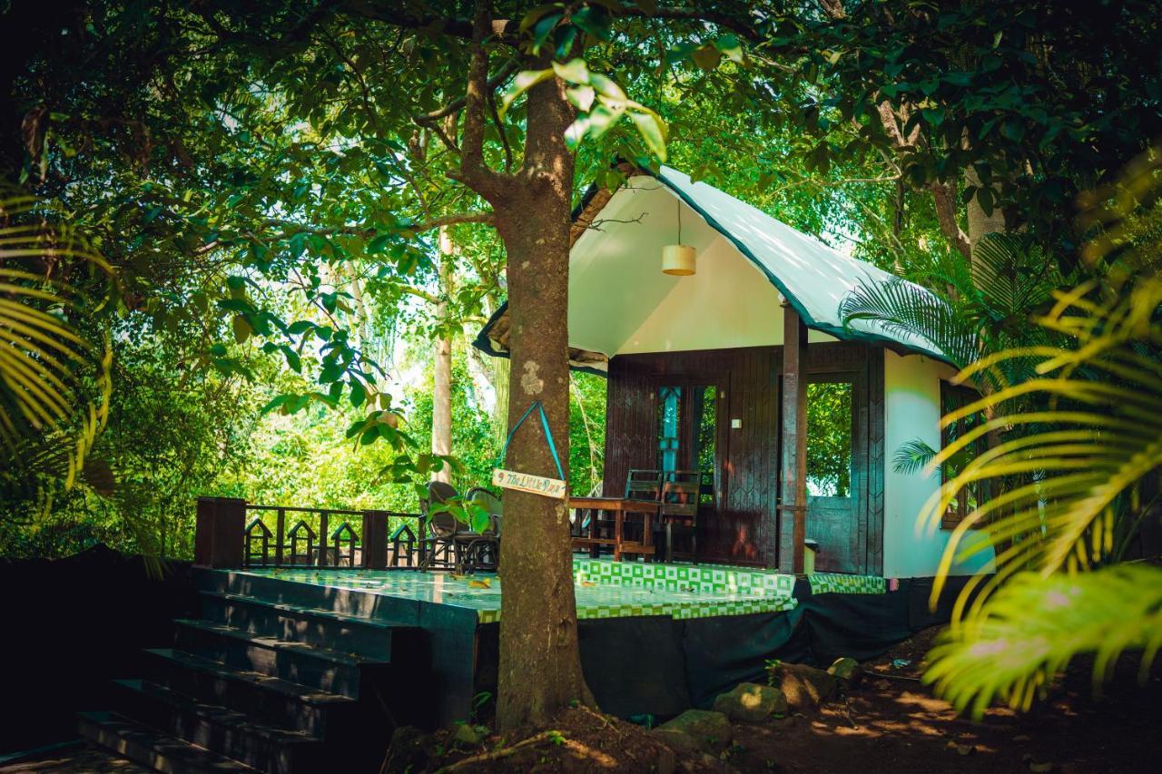 La La Land Resort Goa By Spicy Mango Palolem Dış mekan fotoğraf
